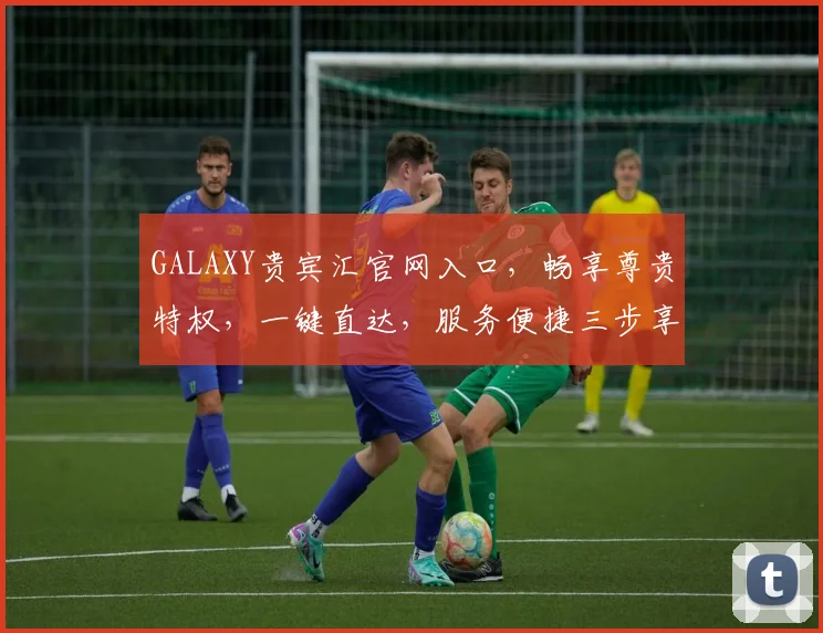 GALAXY贵宾汇官网入口，畅享尊贵特权，一键直达，服务便捷三步享
