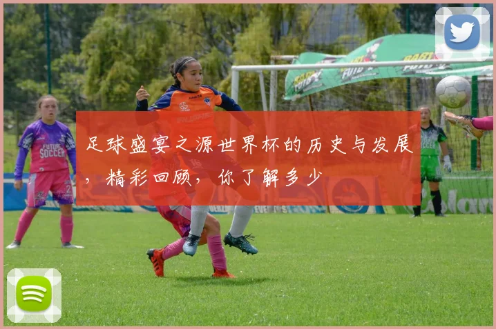 足球盛宴之源世界杯的历史与发展，精彩回顾，你了解多少