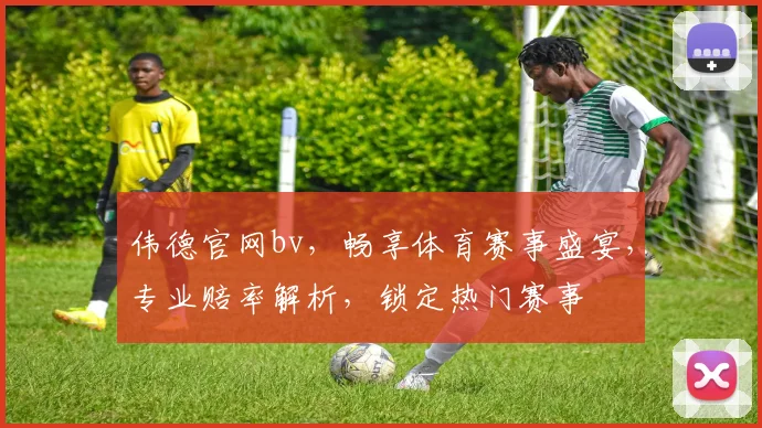 伟德官网bv，畅享体育赛事盛宴，专业赔率解析，锁定热门赛事