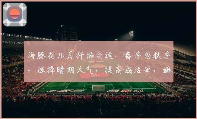 海豚花几月扦插合适，春季或秋季，选择晴朗天气，提高成活率，避免高温和强光。